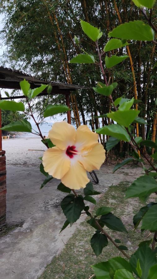 Suíte temporada cantinho do sossego prainha de Mambucaba paraty Exterior foto